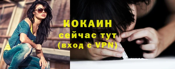 гидра Богородск