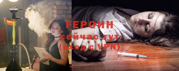 гидра Богородск