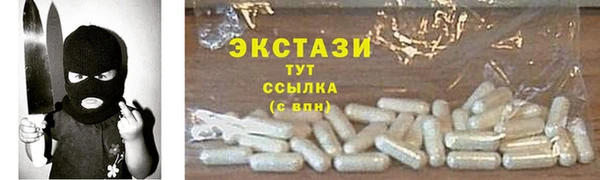 гидра Богородск