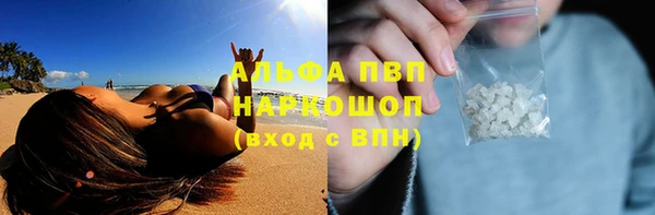 ECSTASY Новочеркасск