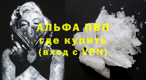 гидра Богородск