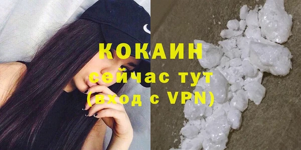 гидра Богородск