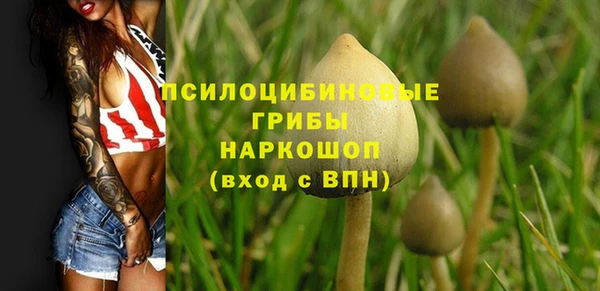 гидра Богородск