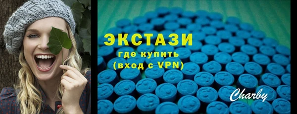 гидра Богородск