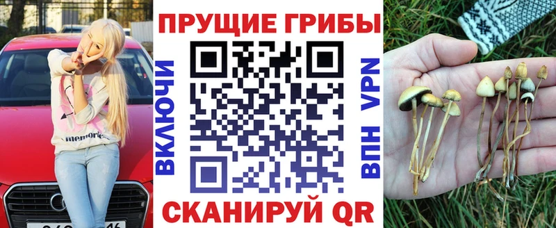Псилоцибиновые грибы мицелий  MEGA зеркало  площадка Telegram  Бологое 