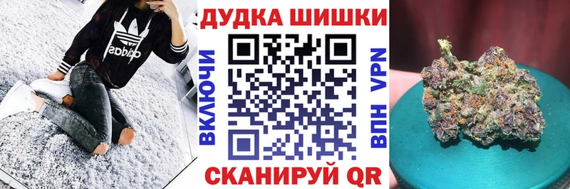 darknet как зайти  Бологое  Каннабис планчик  закладка 